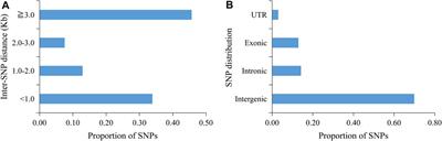 Whole Genome Sequencing and Morphological Trait-Based Evaluation of UPOV Option 2 for DUS Testing in Rice